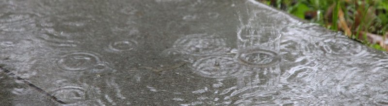 regen2018_thumb